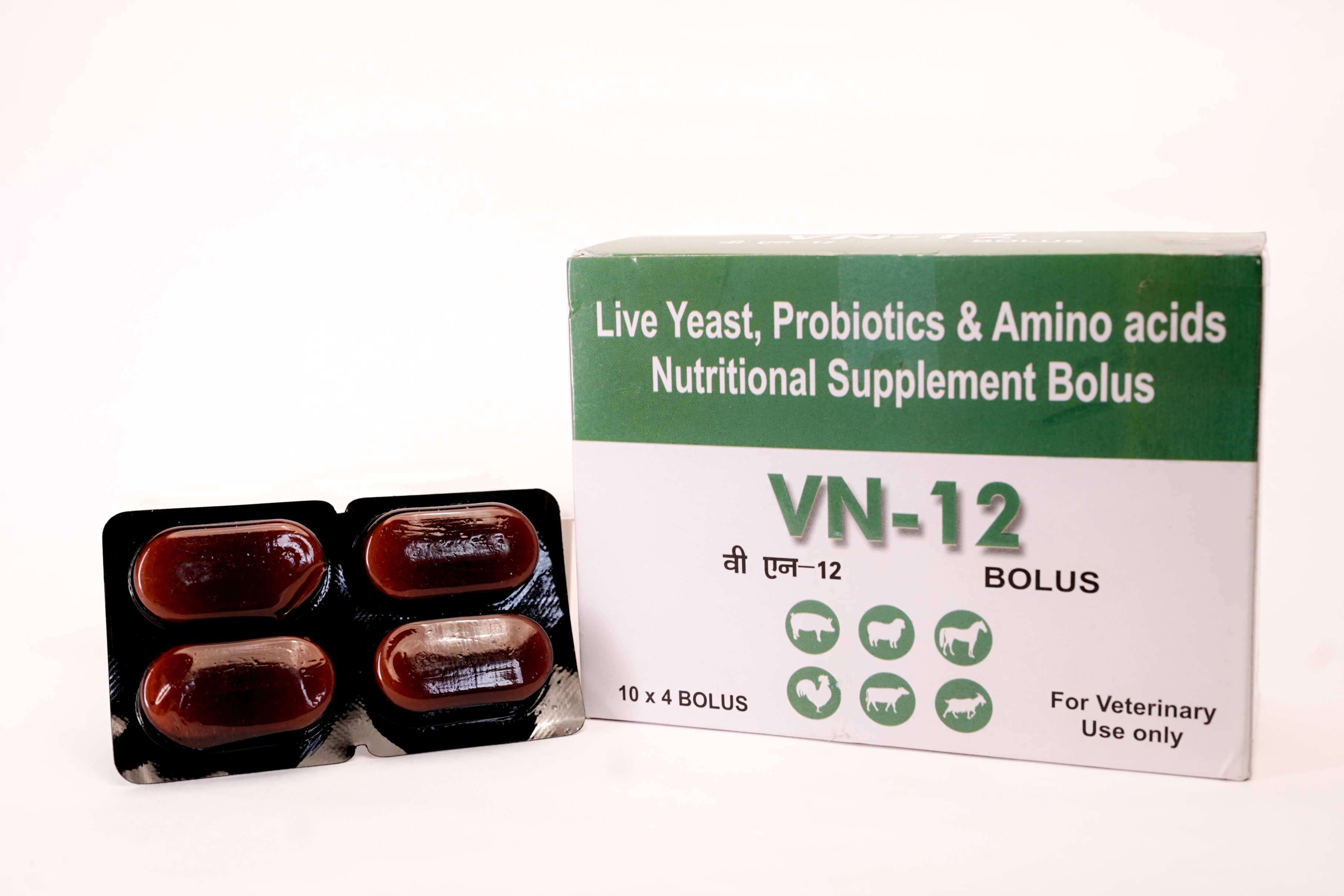 VN 12 Bolus