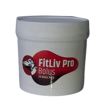 Fit Live Pro Bolus