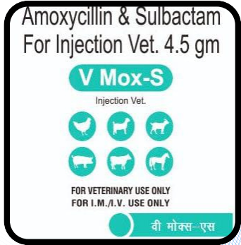V Mox S Injection
